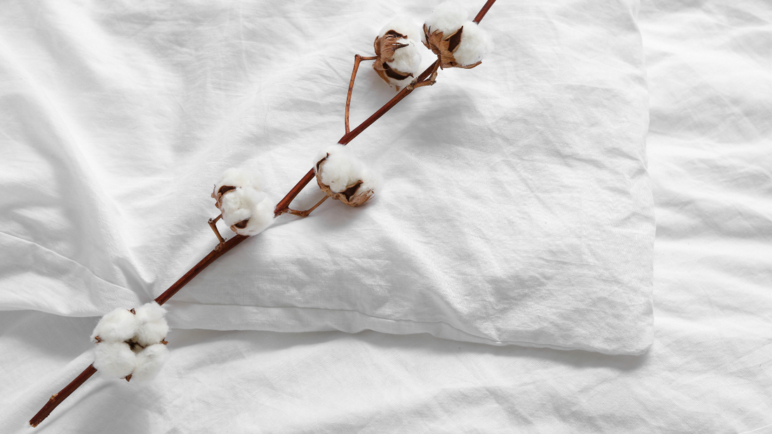 Bamboo vs Cotton Sheets: Pros, Cons, and Which One to Choose